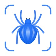Picture Insect logo