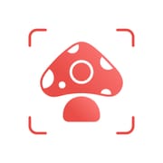 Picture Mushroom logo