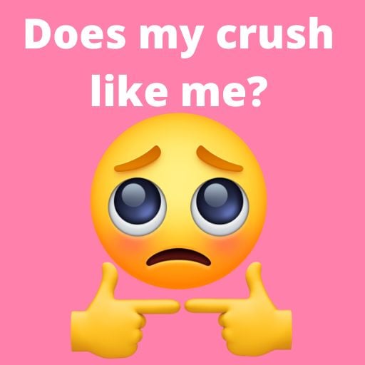 Does My Crush Like Me? Does He logo