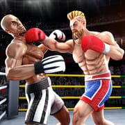 Tag Boxing Games logo