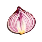 Onion Search Engine logo