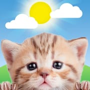 Weather Kitty logo