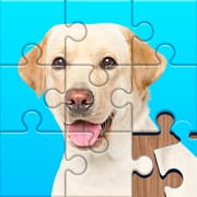 Jigsaw Puzzles Explorer logo
