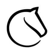 lichess • Free Online Chess logo